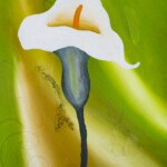 Sem Título (Lírio), Marize Tamaoke, Óleo s/ Tela, 200x100cm, S/ data